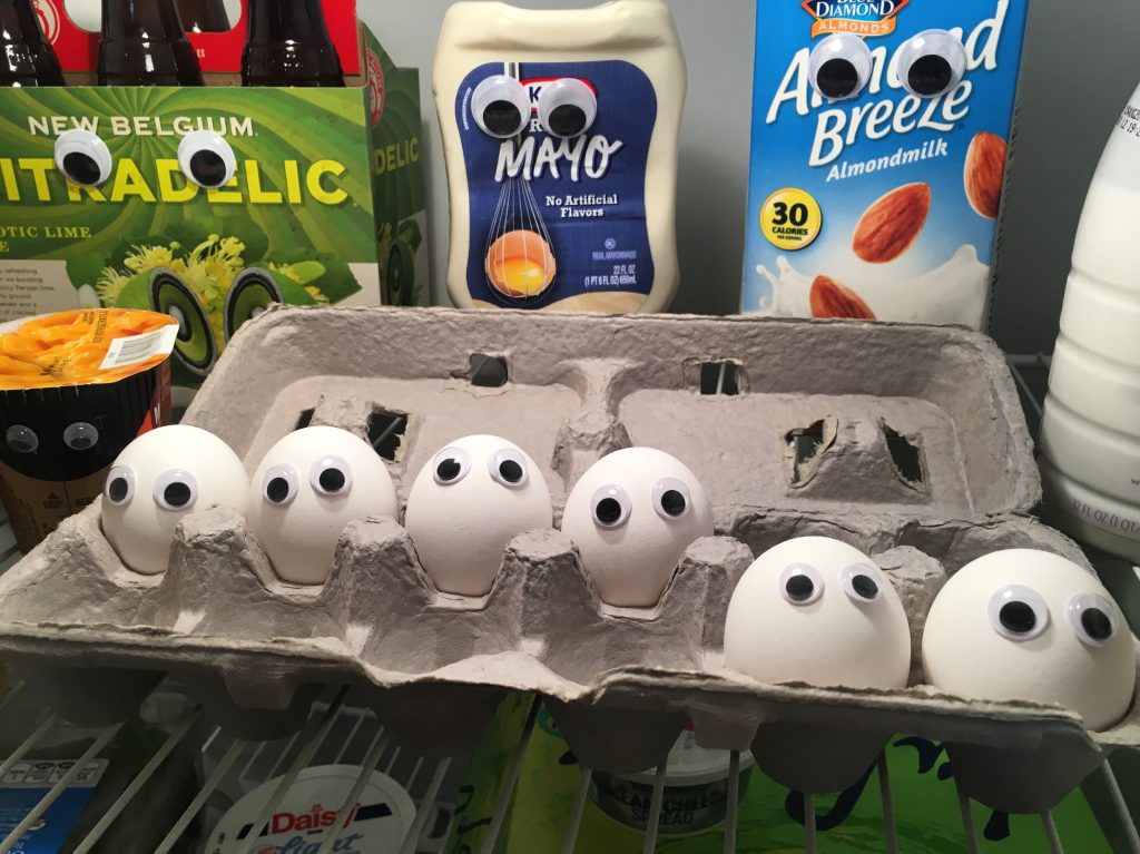 April Fools' Day Funny Fridge Slumbering Alligator