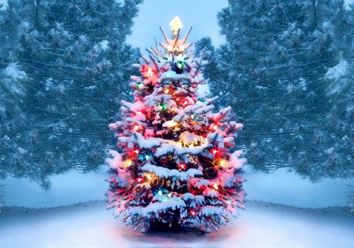 https___www.history.com_.image_MTY4OTA4MzI0ODc4NjkwMDAw_christmas-tree-gettyimages-1072744106