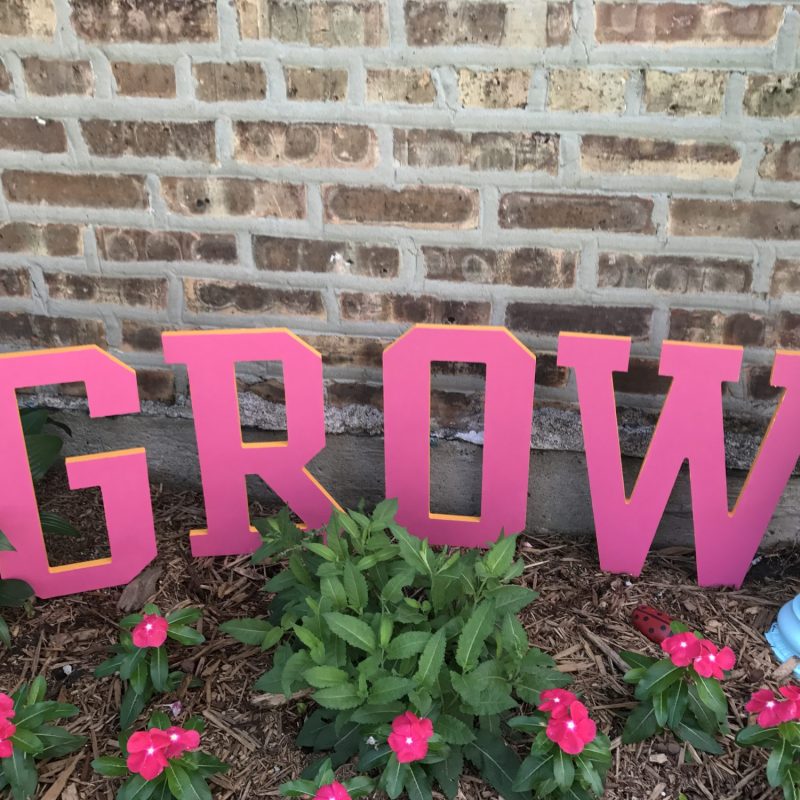 img_0307.jpg